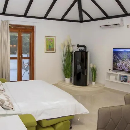 Gabriel - Three Bedroom With Outdoor Pool * Drniš